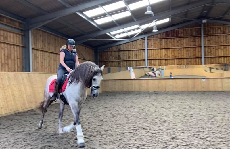 Priory Farm Equestrian Livery Staffordshire Stafford Horses