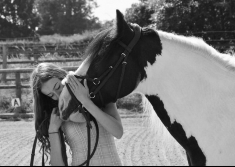 3bf8f70f-8bdc-4055-b937-21519671a302