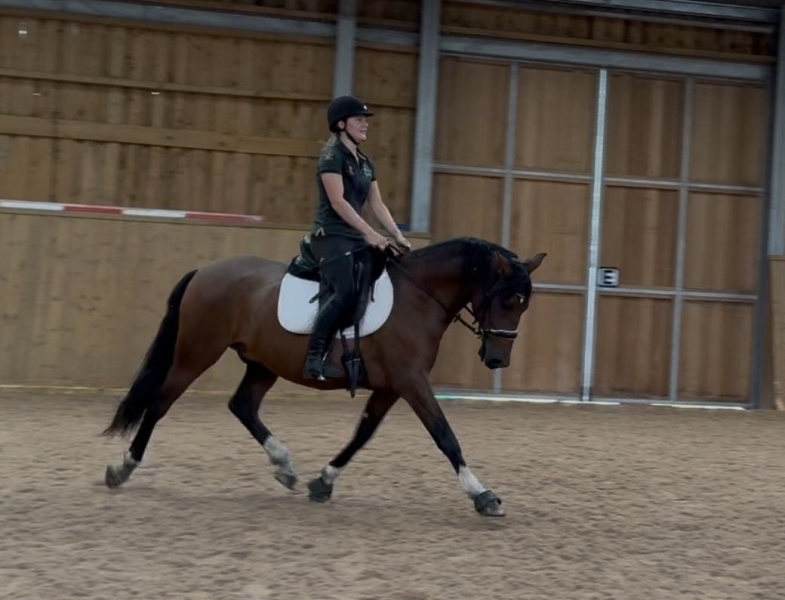 43d16b06-f8c5-4de9-aef0-9a77eb1c4219