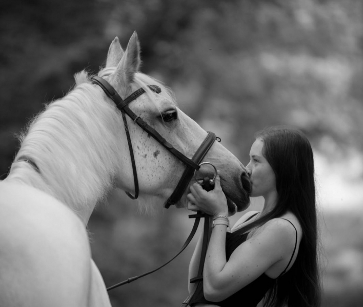 498259b6-4699-4b2f-ba81-b75d64ba3a4f