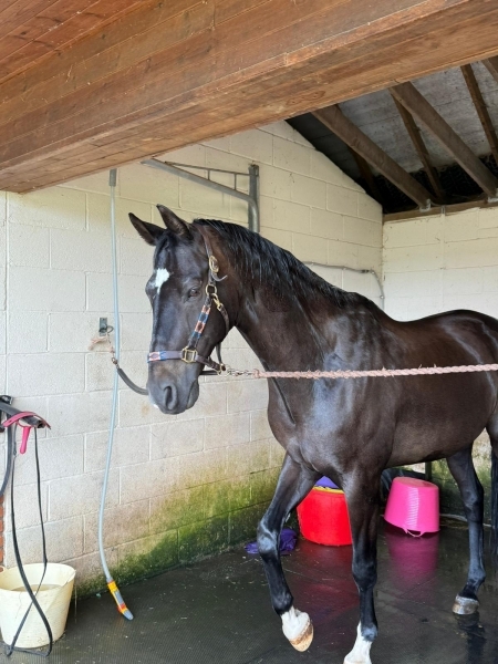 b763681b-f566-4dc4-94a4-1098a5f37ca3